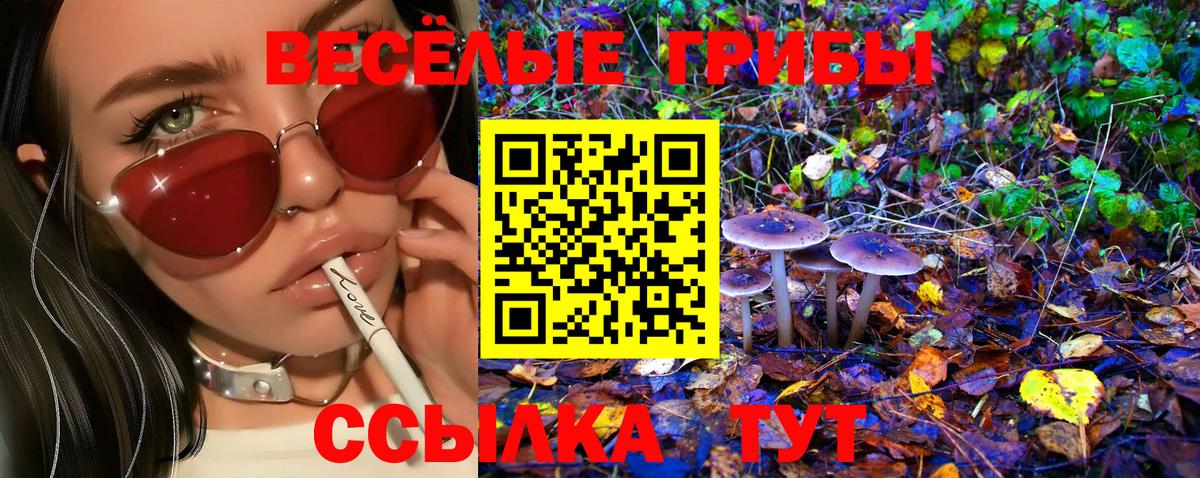 даркнет сайт  Вход с VPN  Галлюциногенные грибы Magic Shrooms  Новошахтинск  Псилоцибиновые грибы прущие грибы 